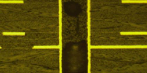 CIRCUIBRAS Serviços: Cross Section